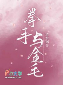 拳手与金毛