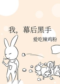 我，幕后黑手