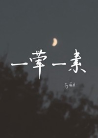 一荤一素